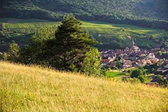 Bollenberg - Zum Vergroessern klicken!